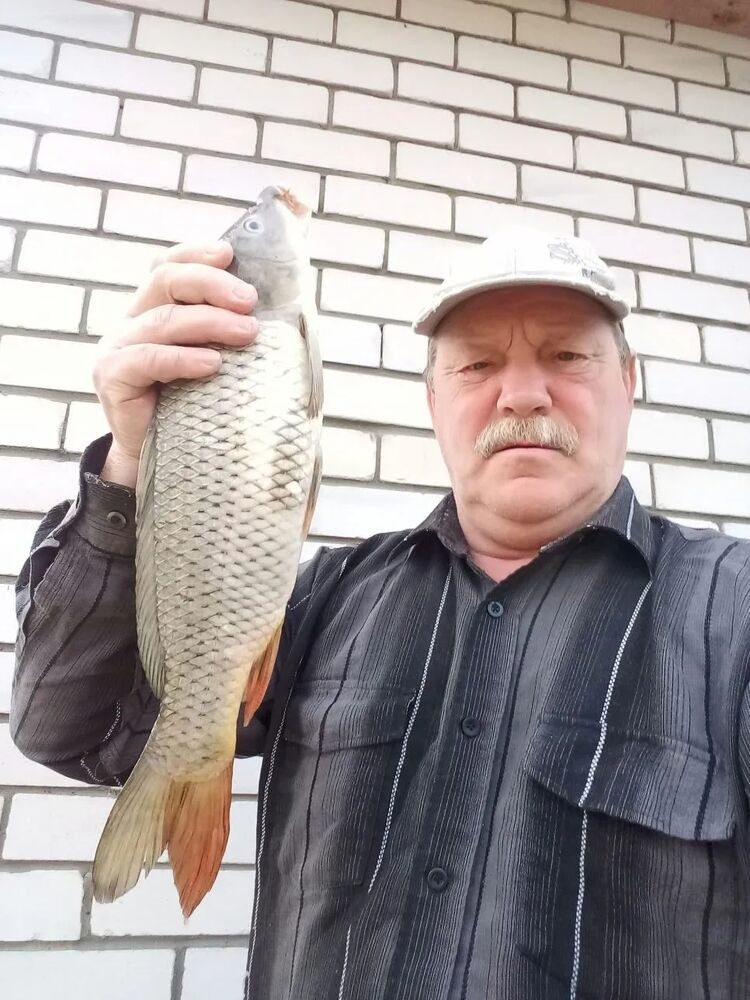 ���������� ���������, ���� ������� ����, 66 ���, ������������ ��� ������, ����� � ���������, c�������� ���������, ���������