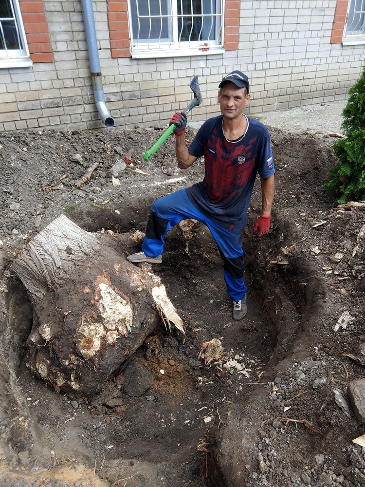 ���������� �������, ���� ������� �����, 41 ���, ������������ ��� c�������� ���������, ���������