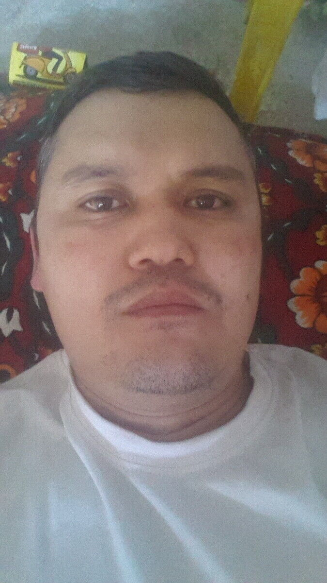 ���� 20465380 ������� ������, 42 ����, ���� ���������� � ��������