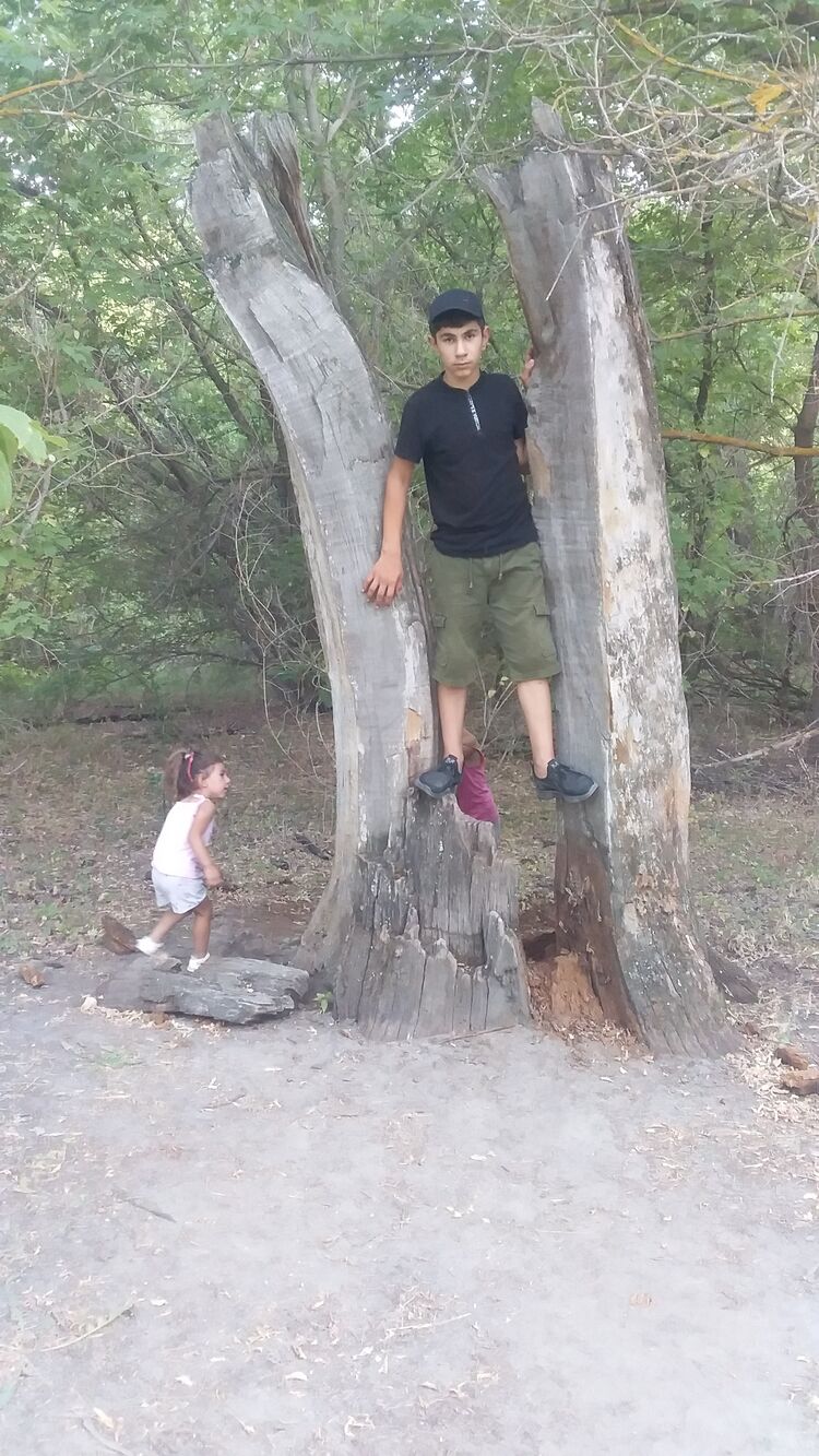  28622760  ALEQS, 21 ,    