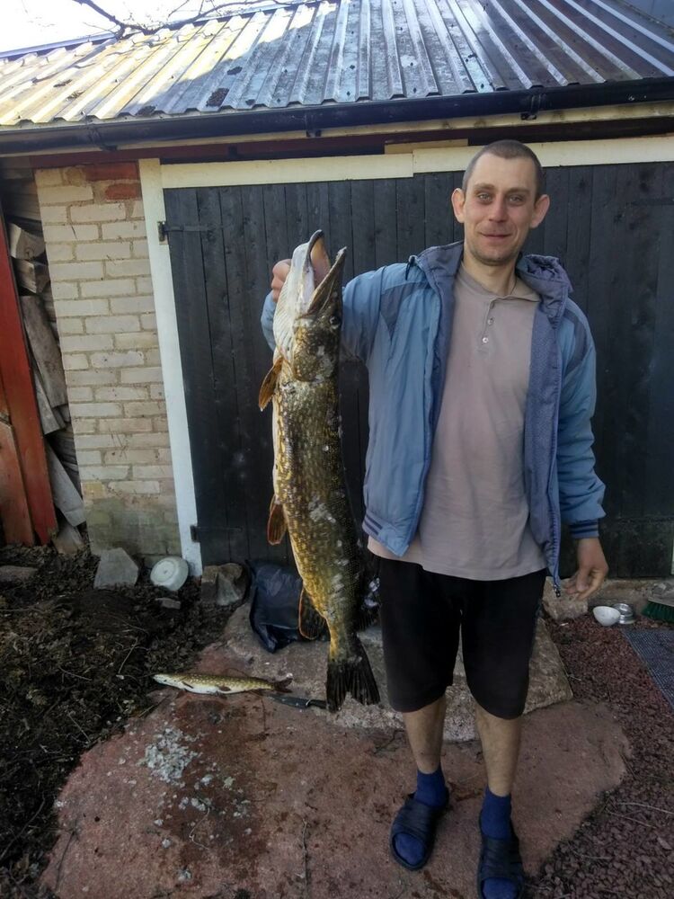  19901400  , 36 ,    