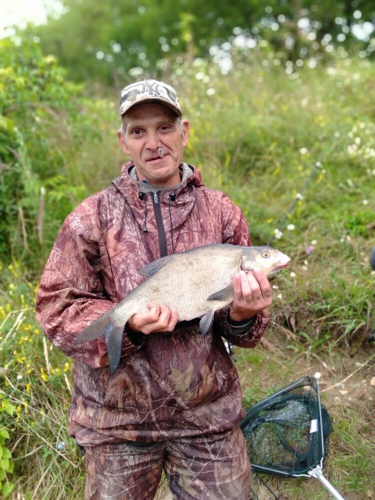 ���� 24179900 ������� �������, 50 ���, ���� ���������� � ������