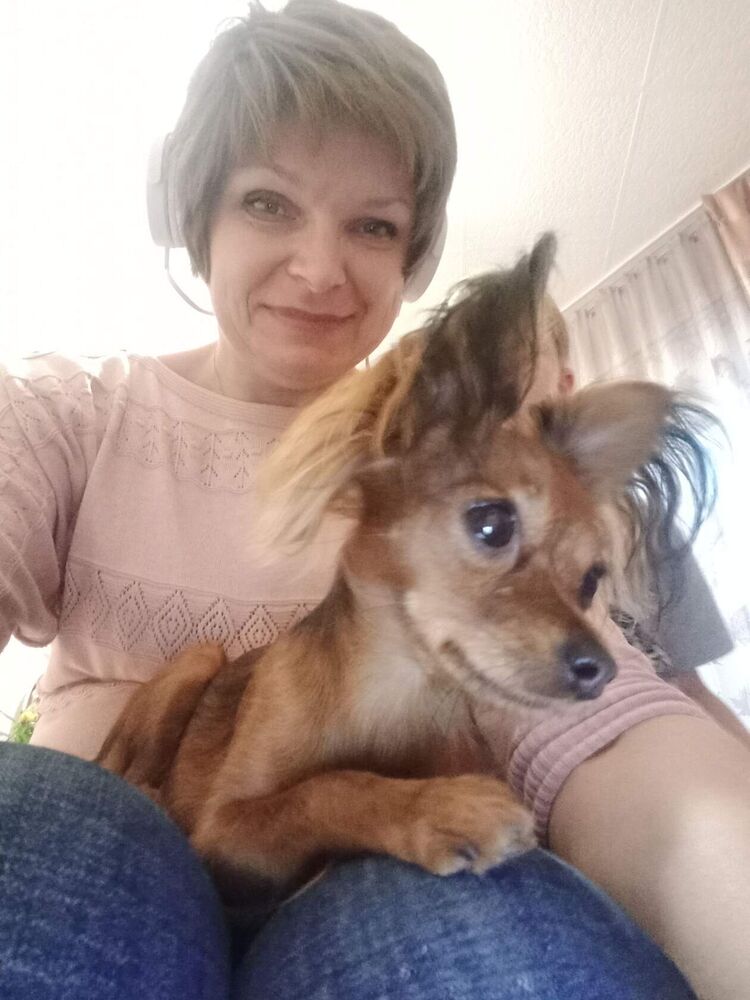 ���������� �����������, ���� ������� ����������, 52 ����, ������������ ��� ����� � ���������, c�������� ���������