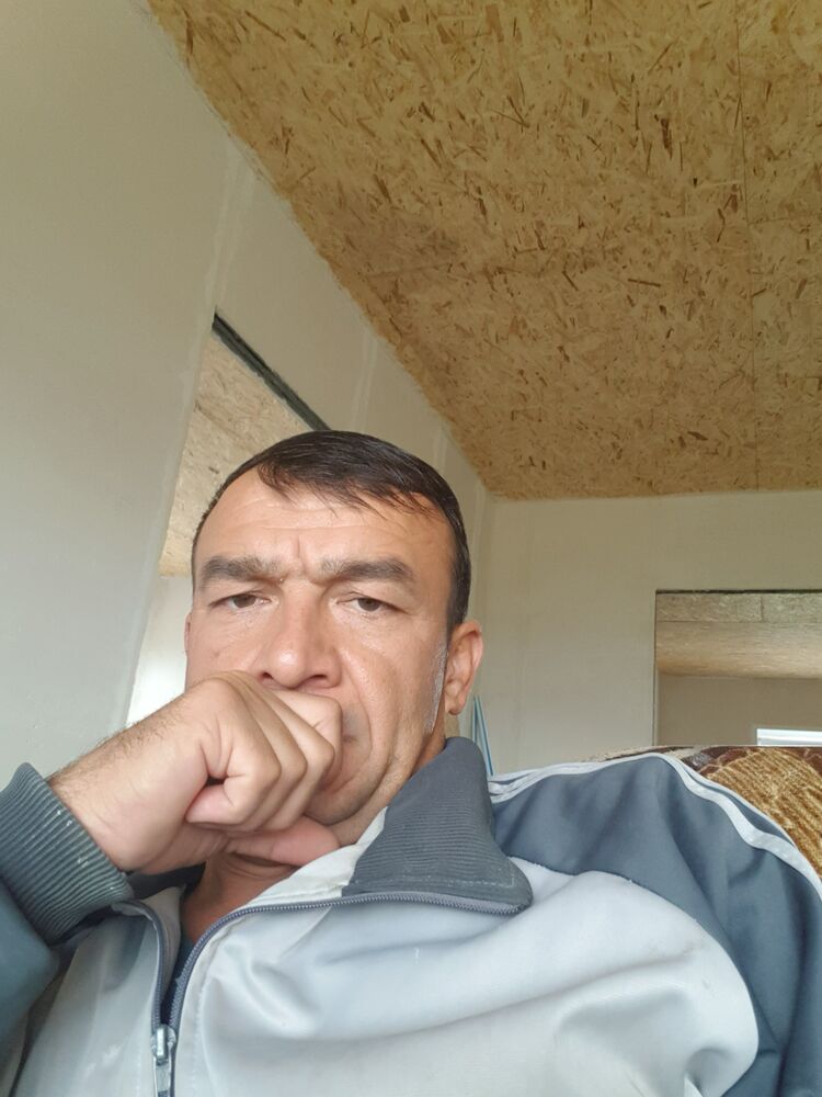  49822530  , 43 ,    -