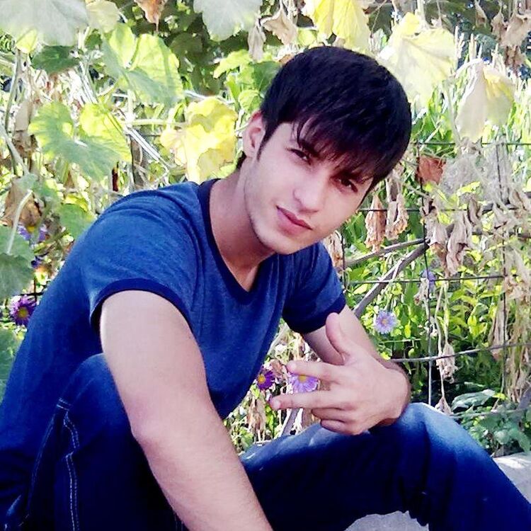 ���� 25446560 ������� ����, 30 ���, ���� ���������� � ������