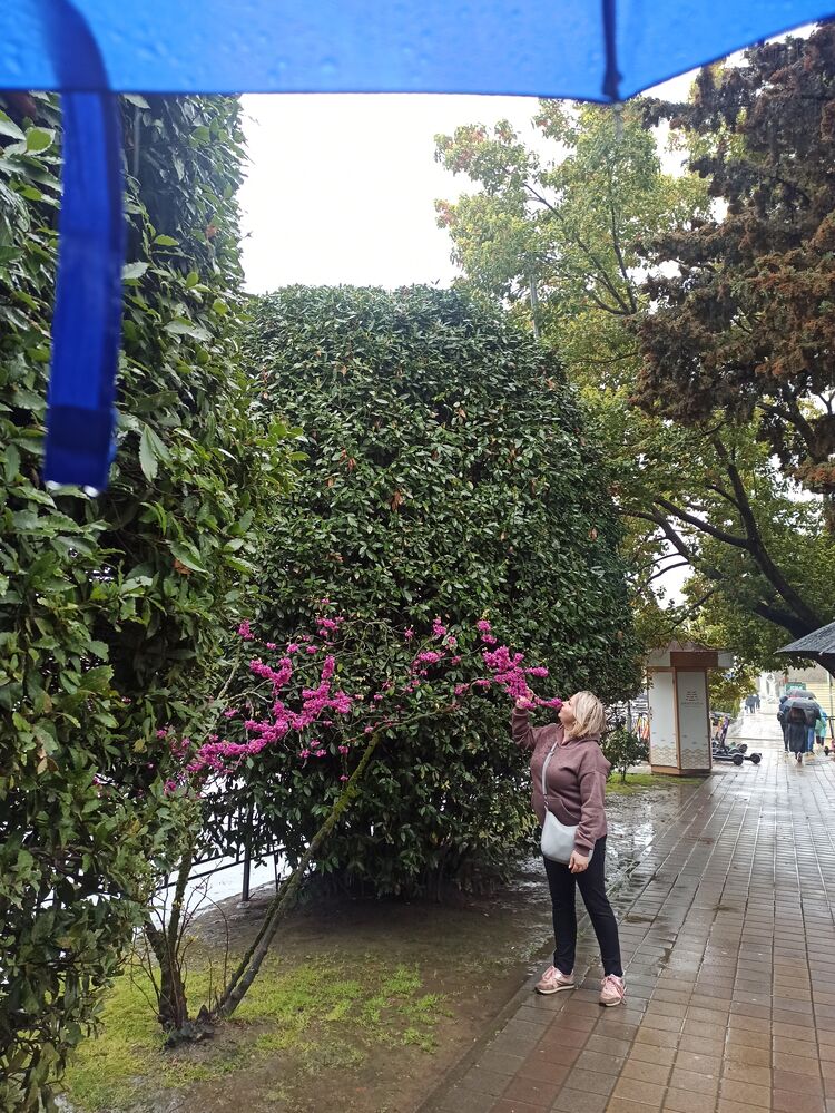 ���������� ������, ���� ������� �������, 48 ���, ������������ ��� ������, ����� � ���������, c�������� ���������