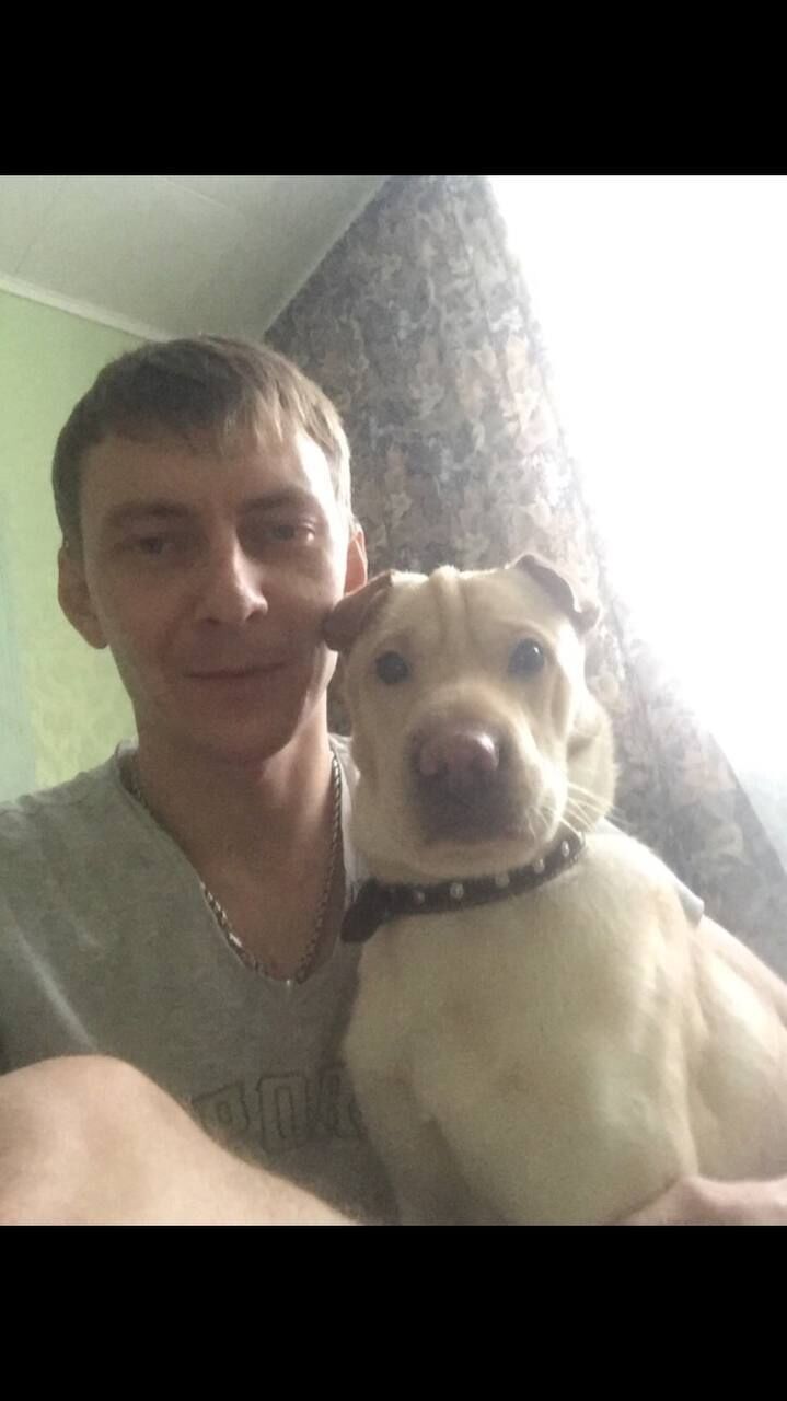 ���� 42126990 ������� �������, 37 ���, ���� ���������� � �����������