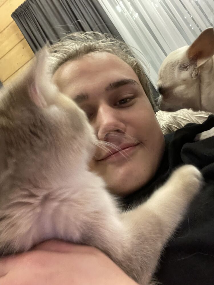 ���� 36381720 ����� ����, 22 ����, ���� ���������� � ������