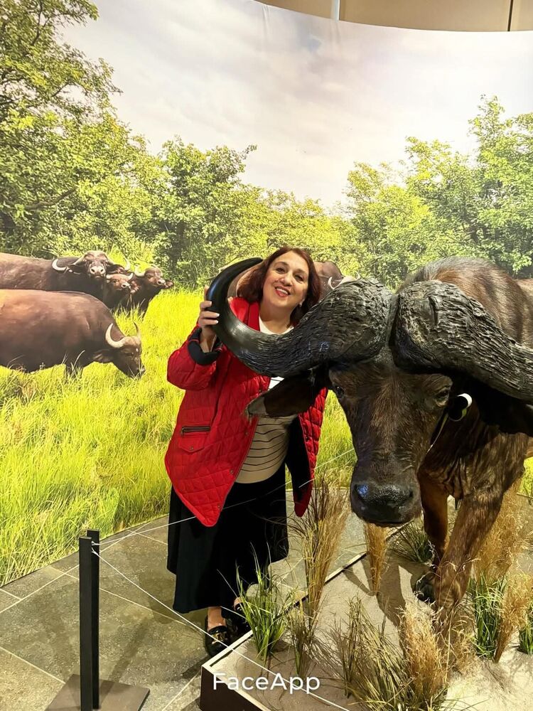  Mainz,   Svetlana, 62 ,   ,   