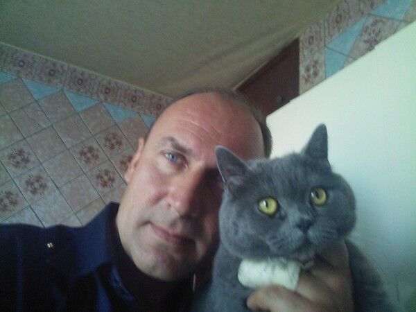  ,   , 53 ,   ,   , c 