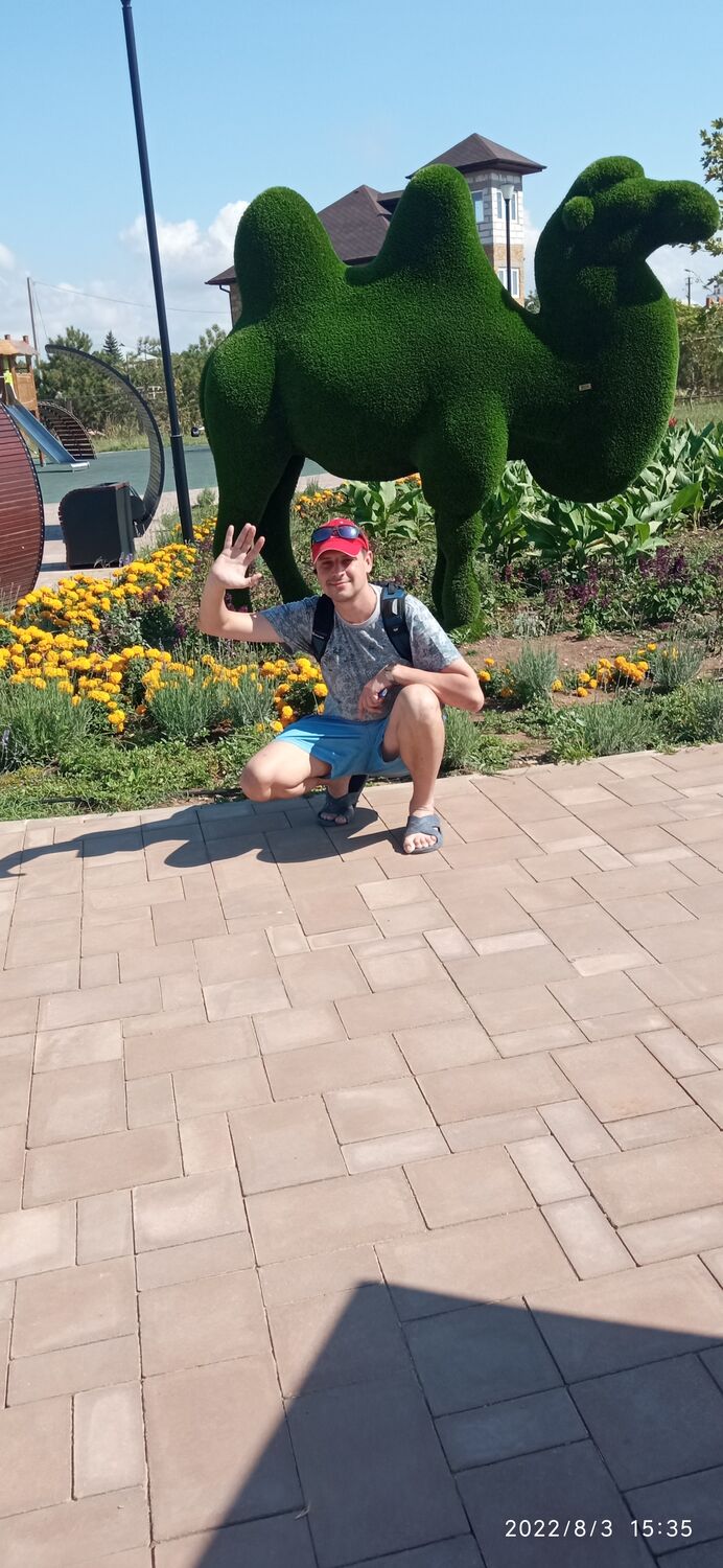  33184840  , 32 ,    