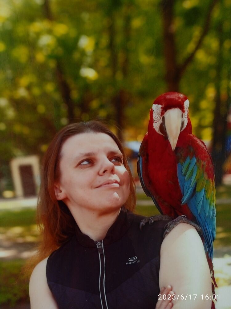 ���� 35290120 ������� �������, 40 ���, ���� ���������� � ������