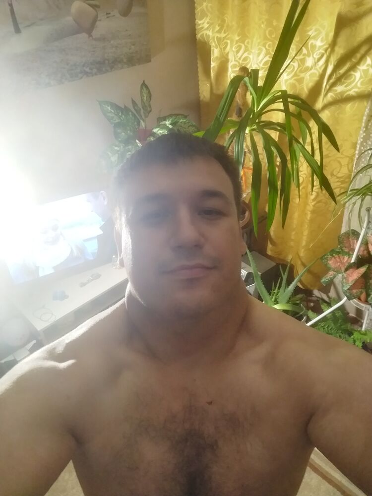  35534940  , 31 ,    