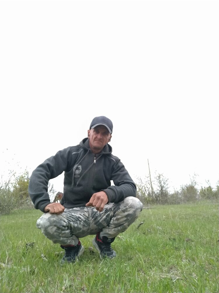  34099770  , 43 ,    