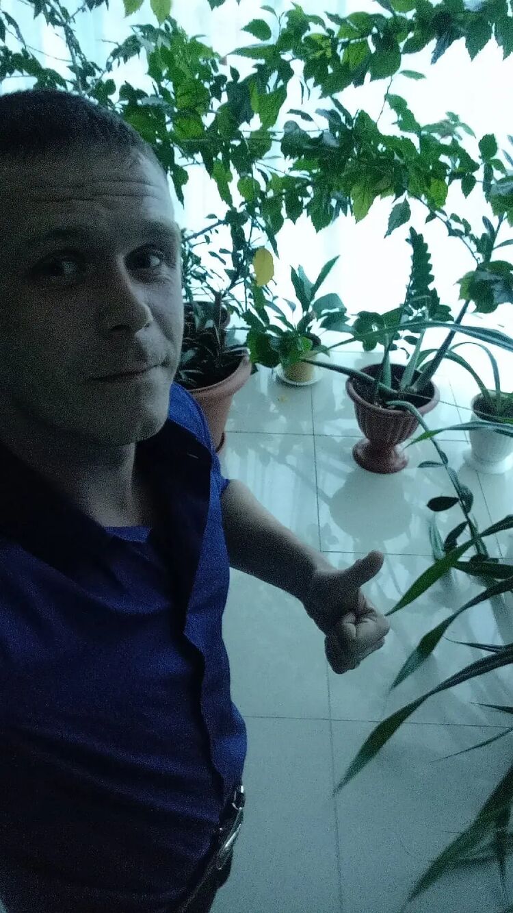  37131490  Alexey, 34 ,    