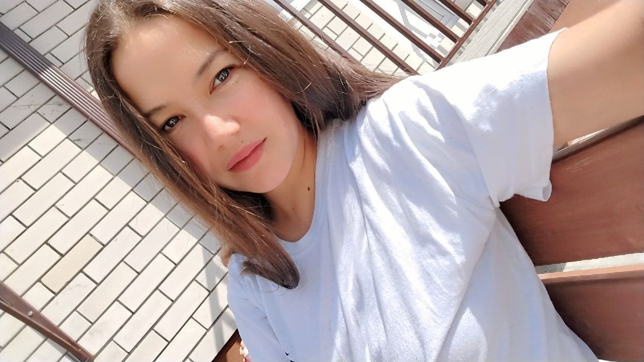  53328860  , 29 ,    
