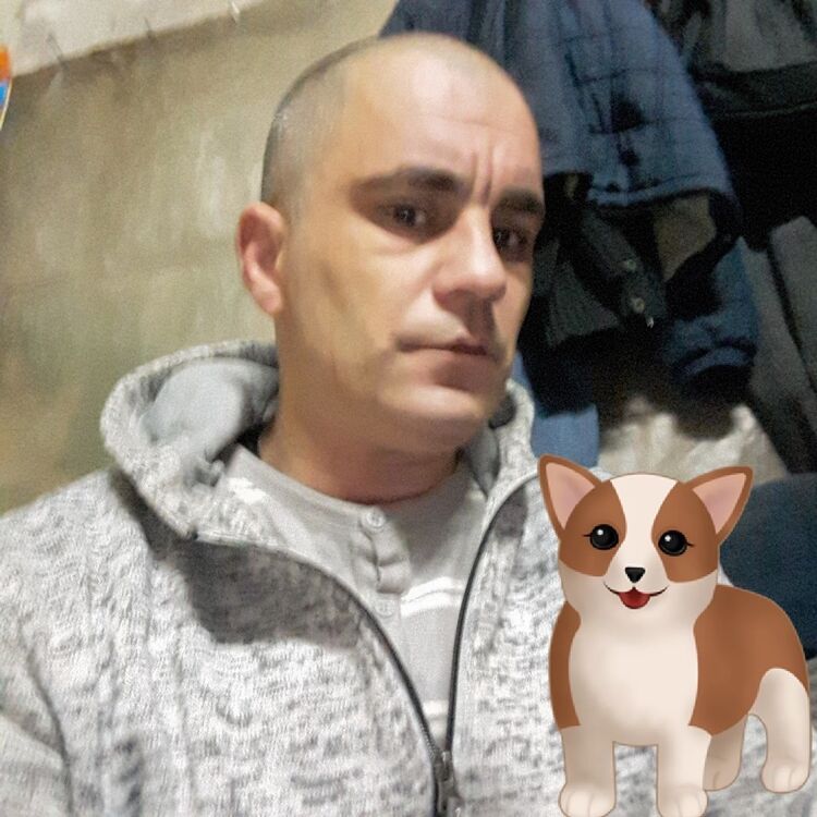 ���������� ������, ���� ������� ����, 46 ���, ������������ ��� ������, ����� � ���������, c�������� ���������