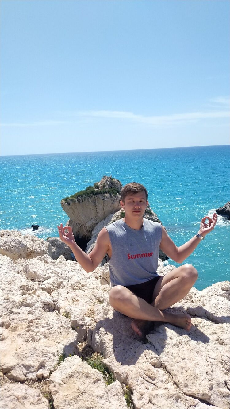  31194320  PROFI, 33 ,    