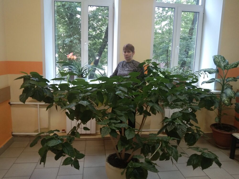 ���� 42894860 ������� ���������, 53 ����, ���� ���������� � ������