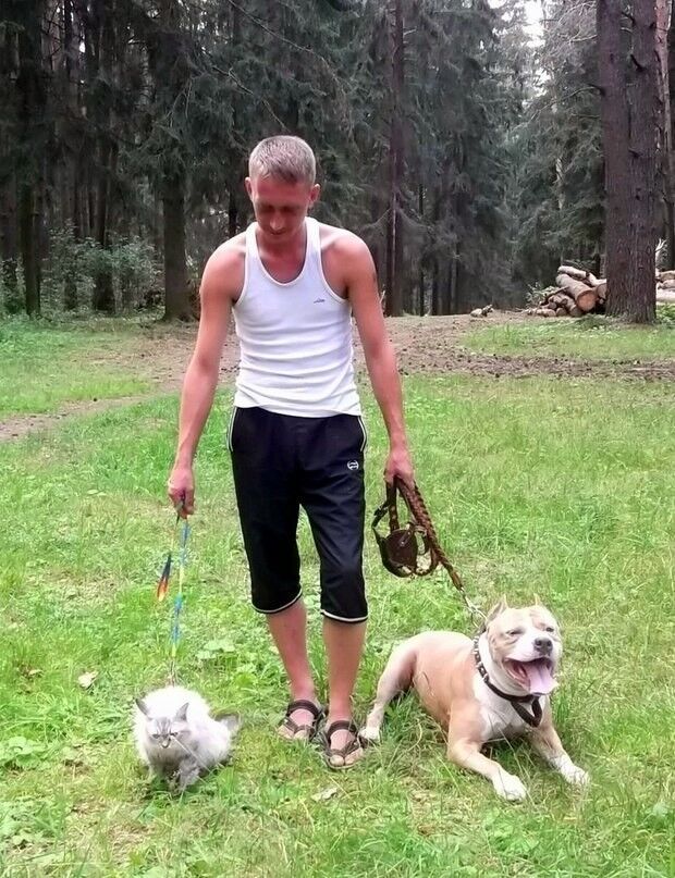 ���������� �����, ���� ������� ������, 39 ���, ������������ ��� ������, ����� � ���������, c�������� ���������