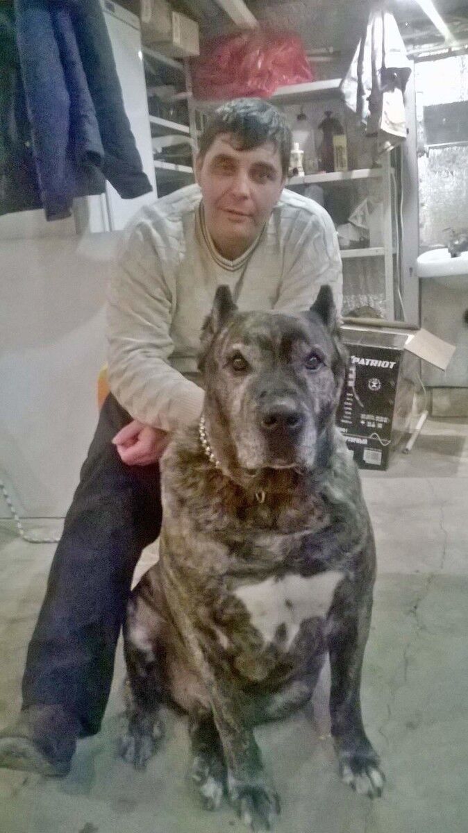 ���������� ������, ���� ������� ���������, 49 ���, ������������ ��� ����� � ���������, c�������� ���������