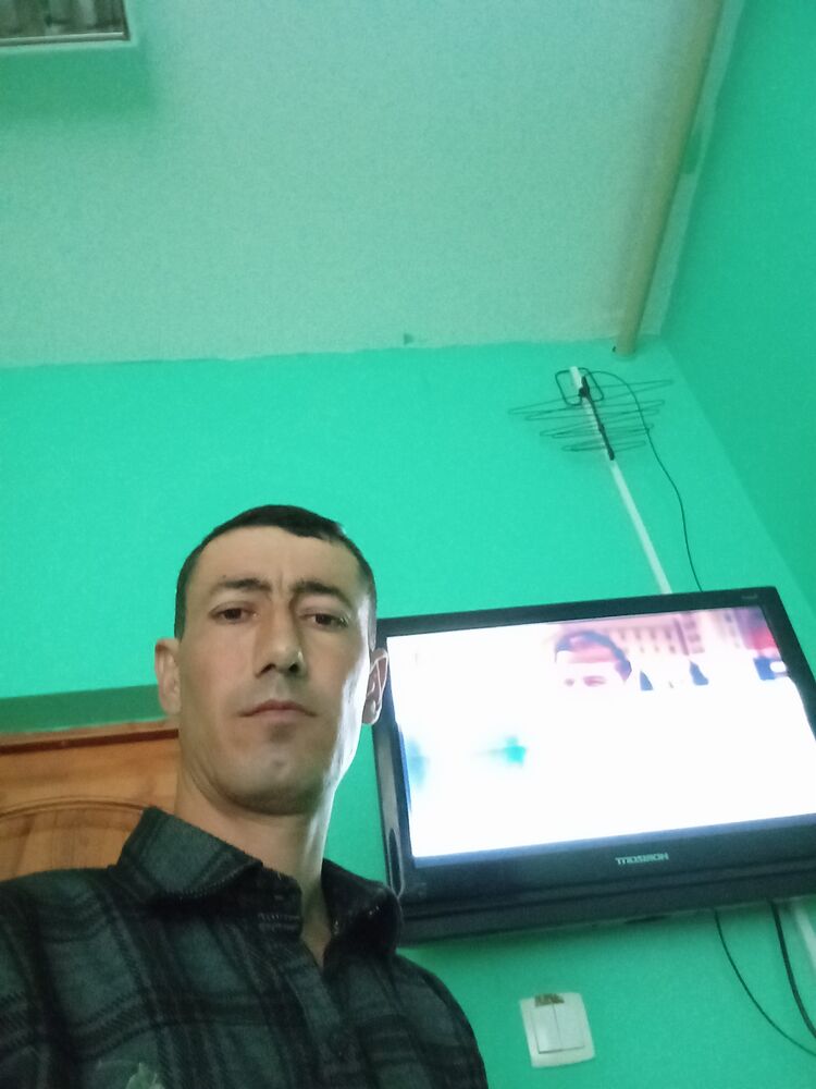  43781340  , 38 ,    