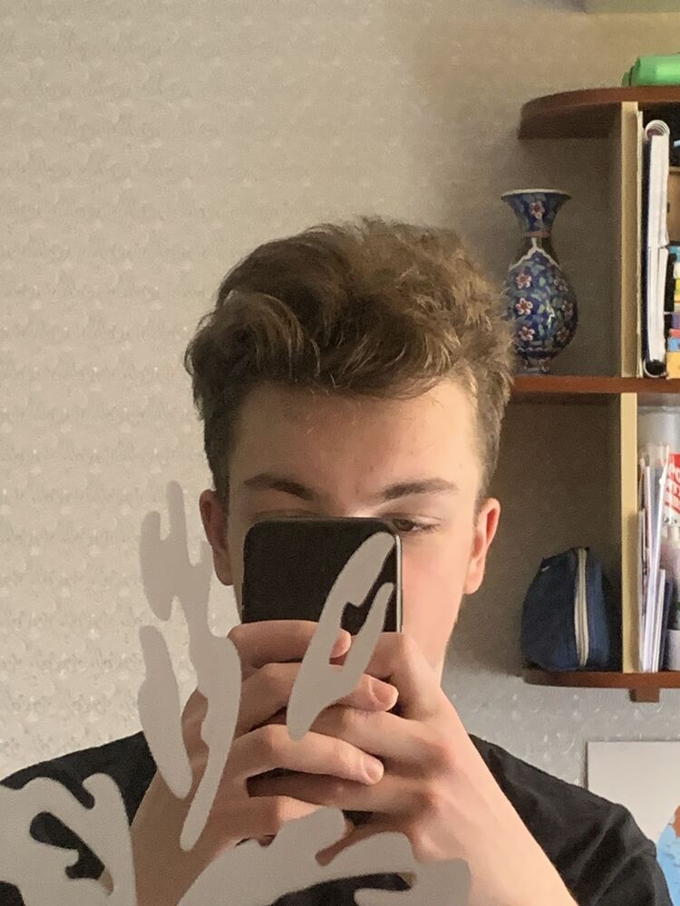  31518520  , 21 ,    