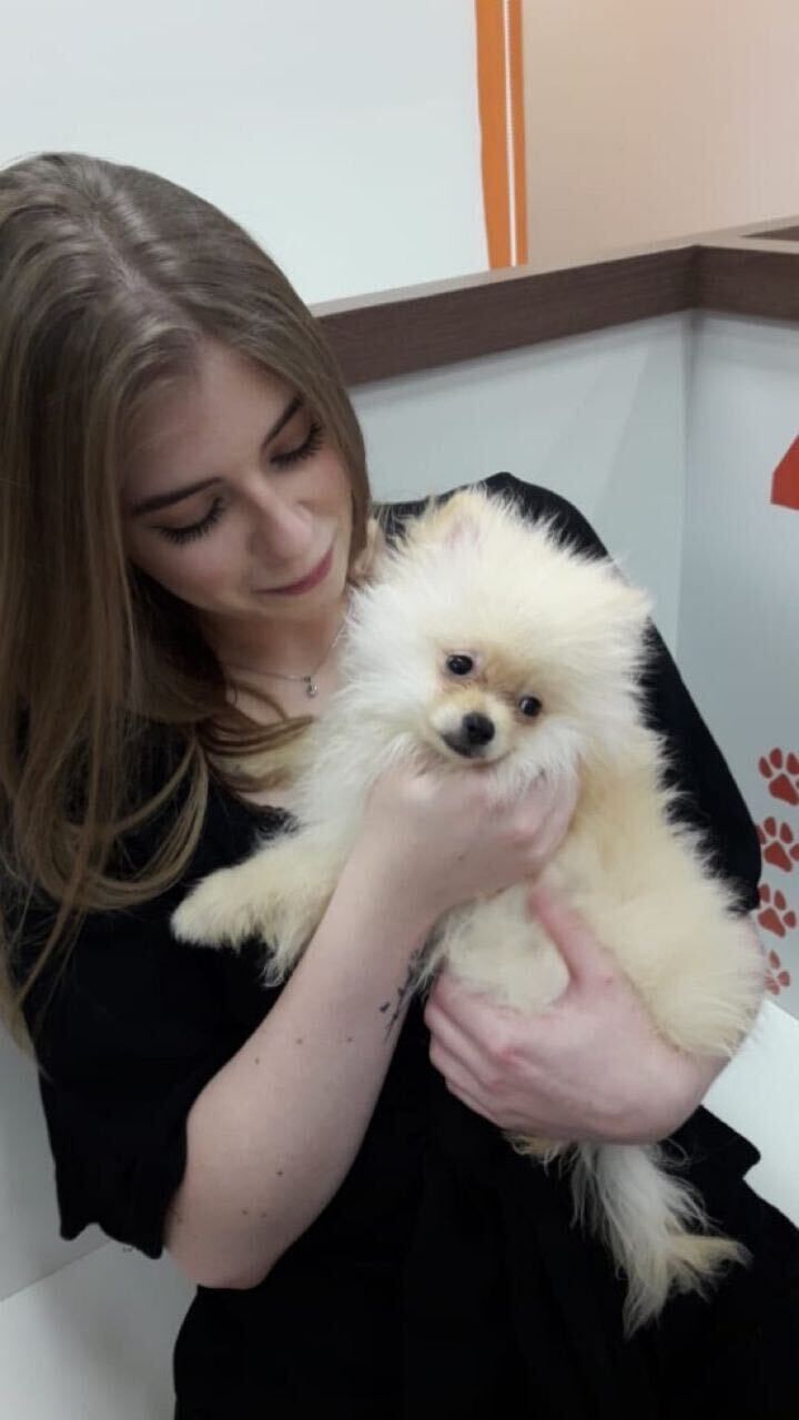  26577150  Yayo, 23 ,    