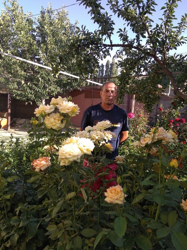 ���������� ������ ��������, ���� ������� Aidos, 52 ����, ������������ ��� ������, ����� � ���������, c�������� ���������