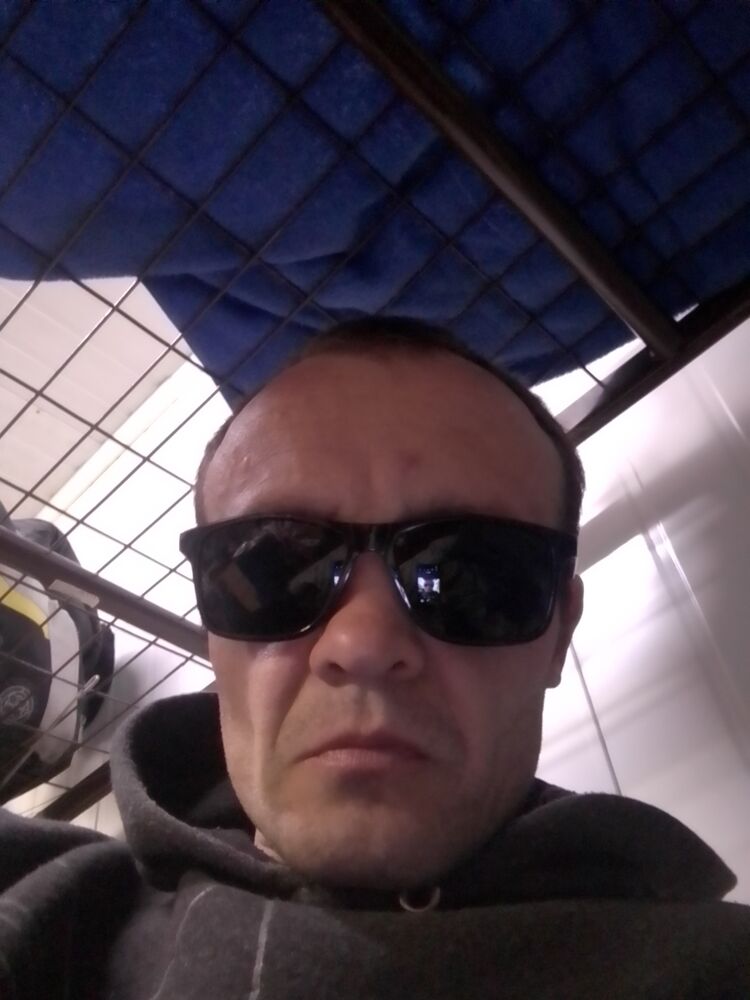  34461220  , 40 ,    