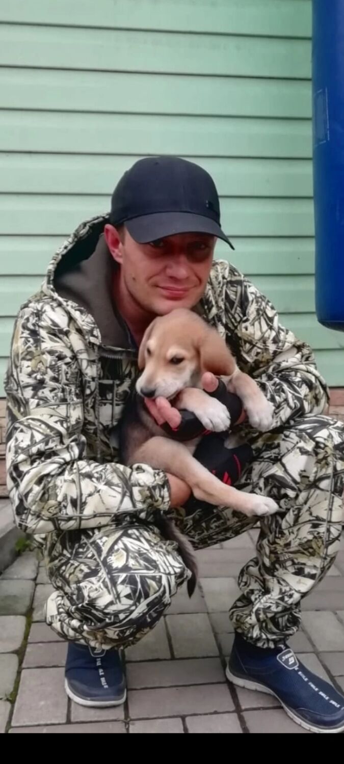 ���� 36445370 ������� �������, 42 ����, ���� ���������� � ��������