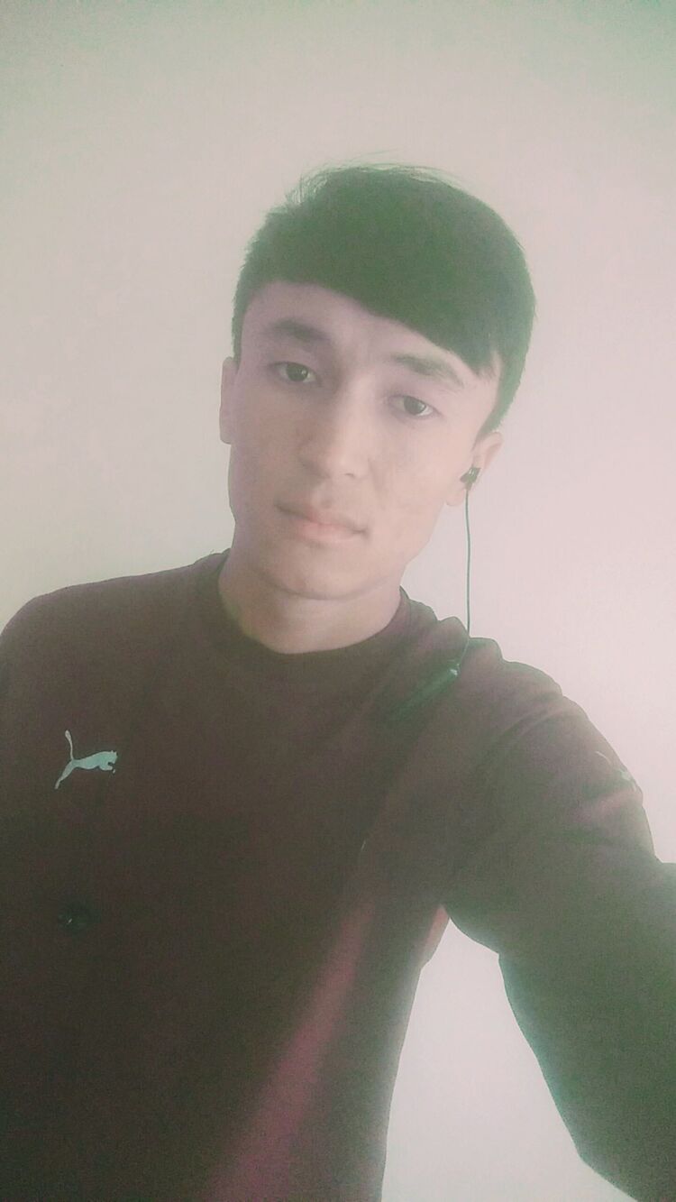  33703430  , 25 ,    