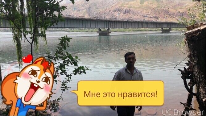 ���������� �������, ���� ������� ����, 44 ����, ������������ ��� ������, ����� � ���������, c�������� ���������