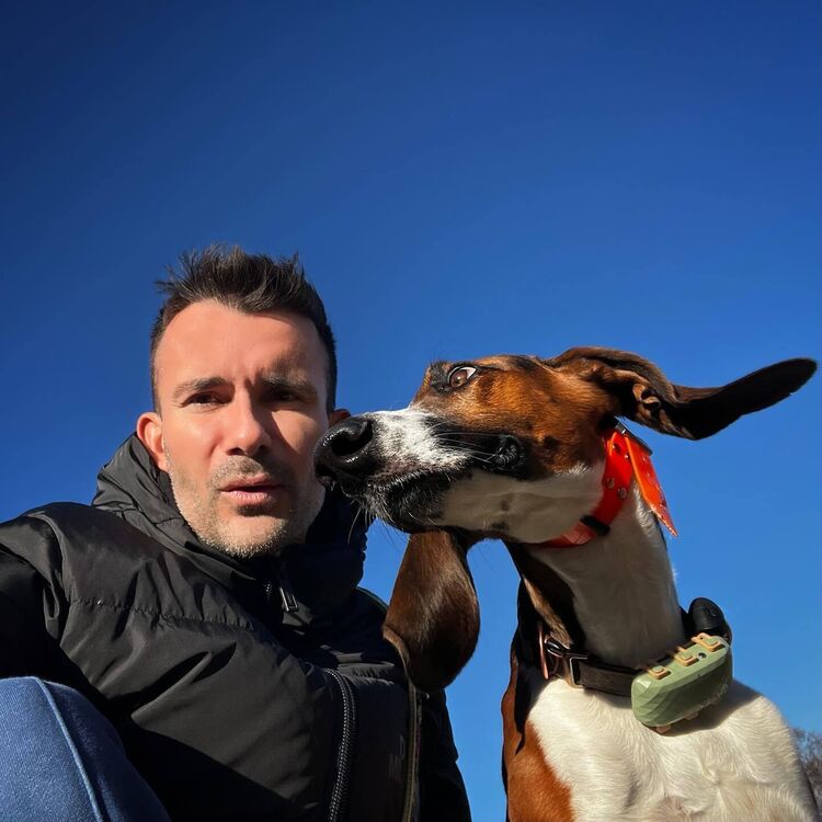  Bruntal,   , 36 ,   ,   , c 