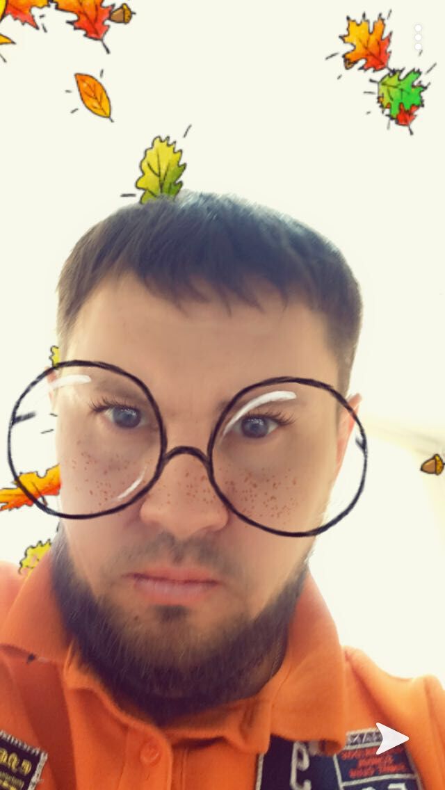 ���� 28848390 ������� ����, 43 ����, ���� ���������� � �������������