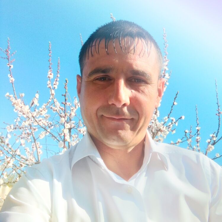 ���������� ��������, ���� ������� �������, 43 ����, ������������ ��� ������, ����� � ���������, ���������