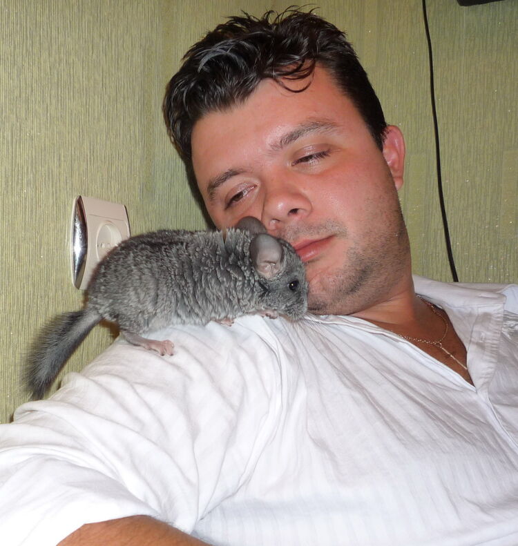 ���� 4478760 ������� Smook, 45 ���, ���� ���������� � ������