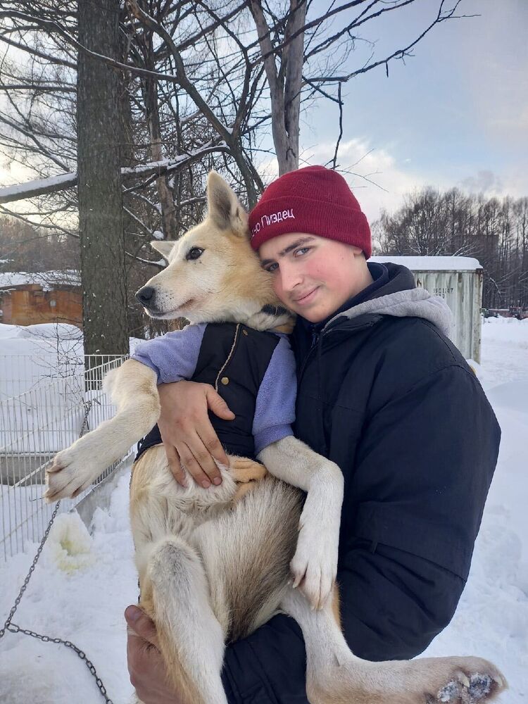 ���� 24932780 ����� ����, 24 ����, ���� ���������� � ������