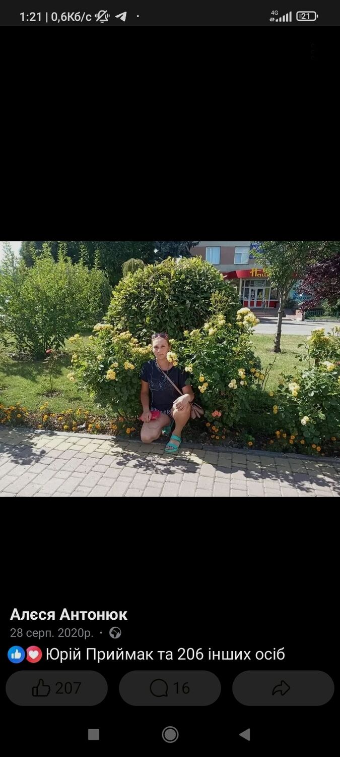  44991260  , 31 ,    