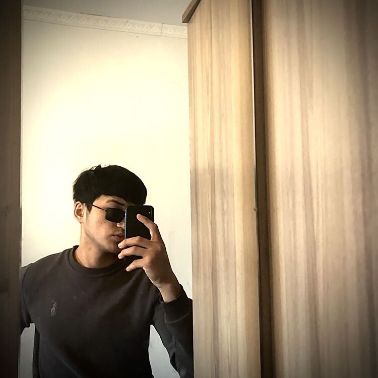  40861160  , 24 ,    -