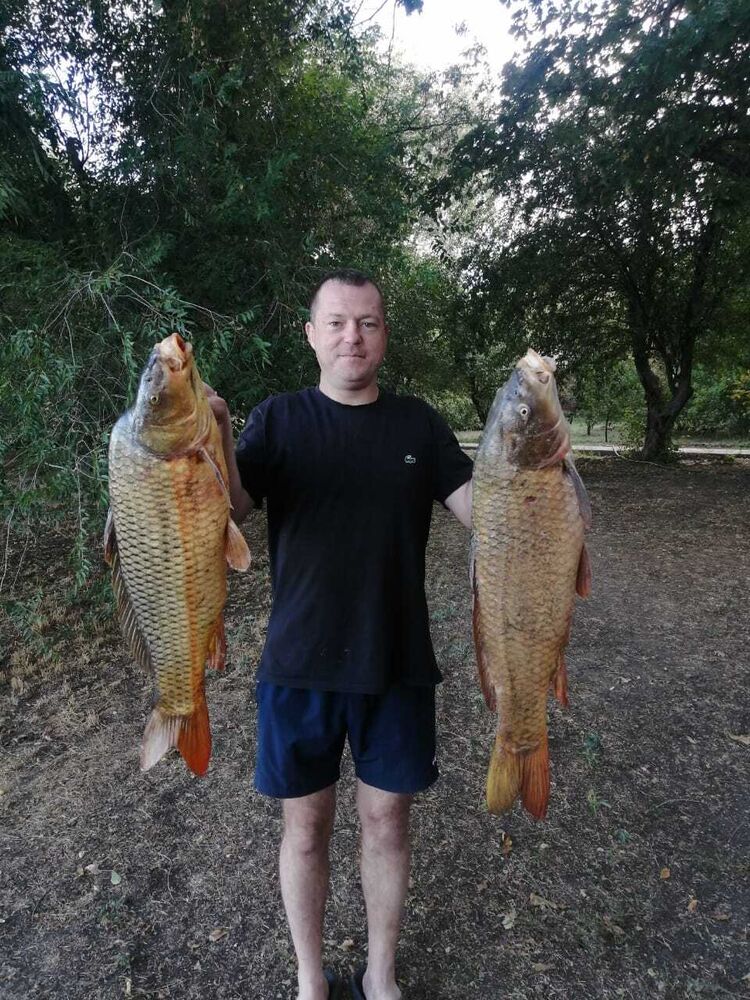 ���� 31300780 ������� ��������, 38 ���, ���� ���������� � ��������