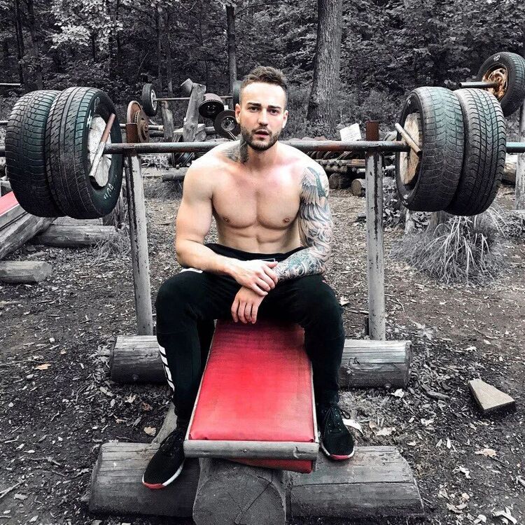  41952990  , 38 ,    -