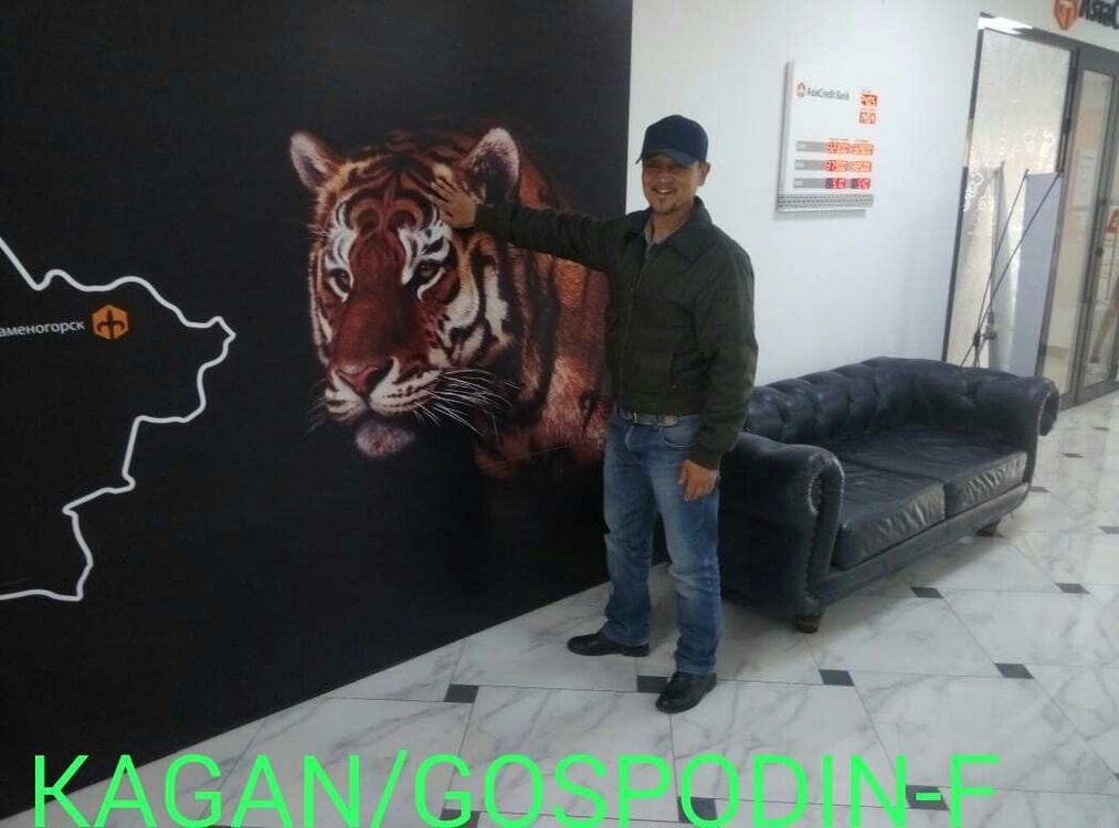  ,    , 52 ,  
