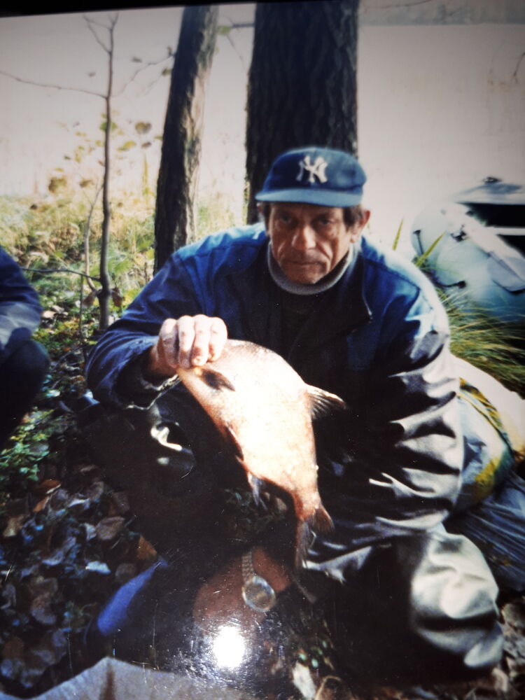  50914590  , 73 ,    -