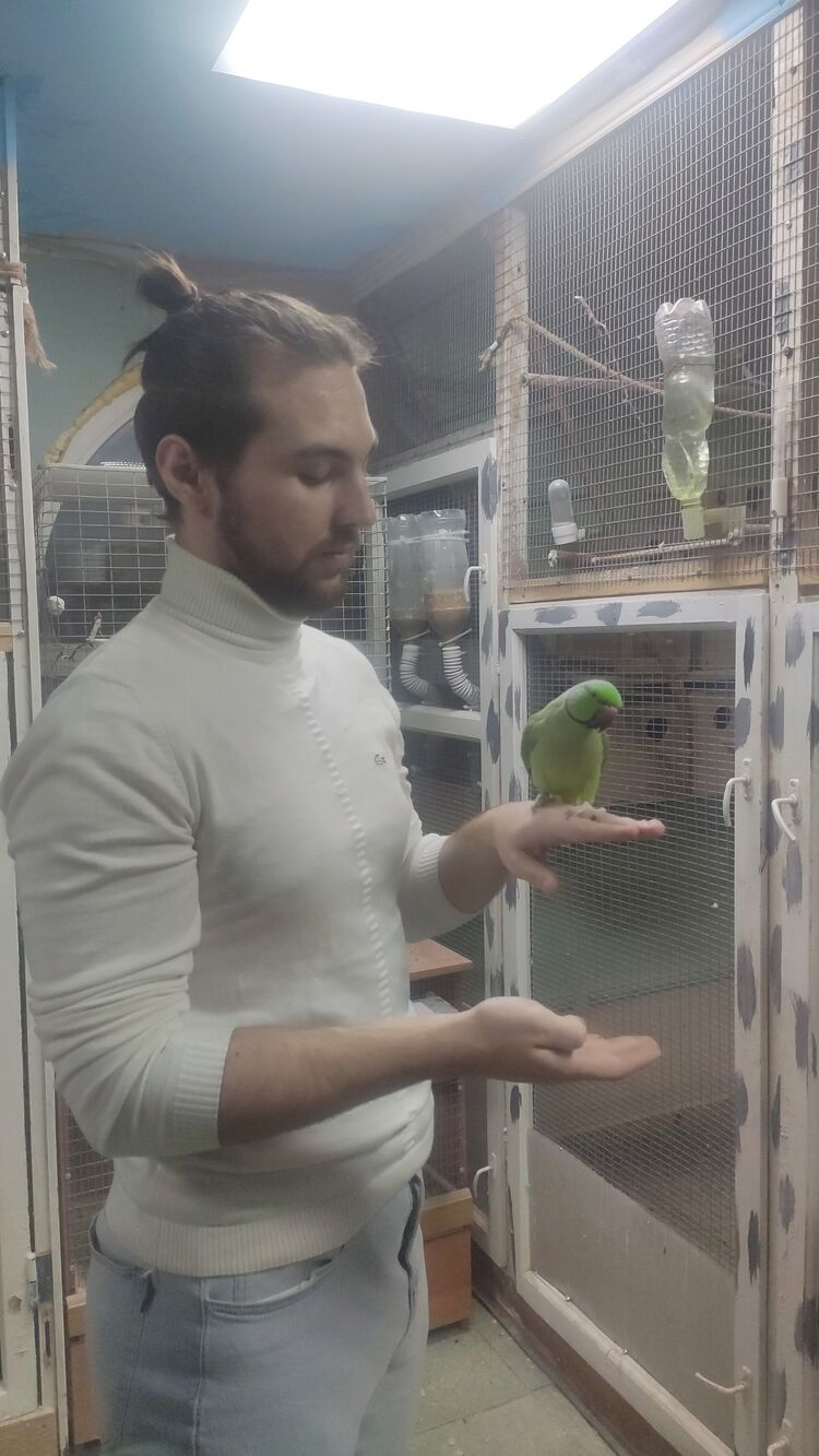 ���� 36950350 ������� �����, 26 ���, ���� ���������� � �������