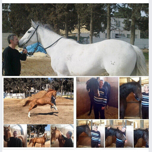  21326180  NATIK, 63 ,    