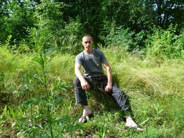 ���������� ��������, ���� ������� ������, 37 ���, ������������ ��� ������, ����� � ���������, c�������� ���������