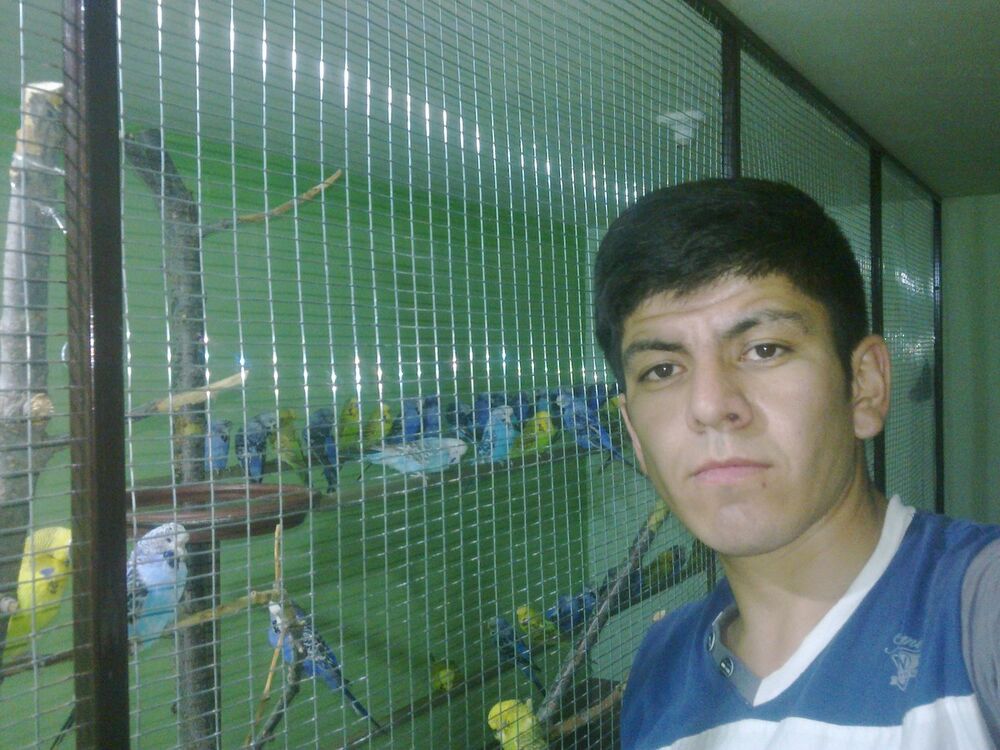 ���� 10316750 ������� Menexx, 36 ���, ���� ���������� � �������