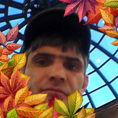  ,   , 46 ,   ,   