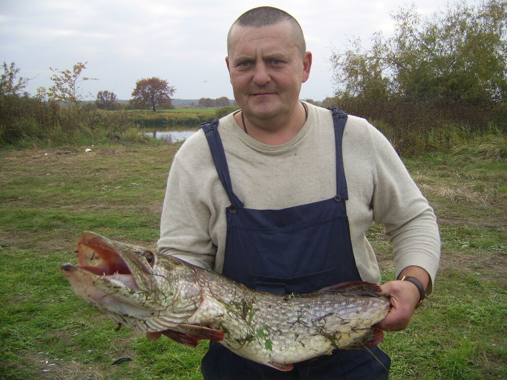 ���� 5805640 ������� ����, 55 ���, ���� ���������� � ������